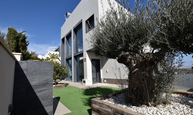 Venta - Villa -
San Miguel de Salinas - San Miguel - Town