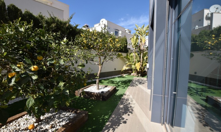 Venta - Villa -
San Miguel de Salinas - San Miguel - Town