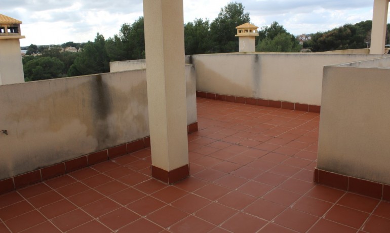 Venta - Villa -
Algorfa - Montemar