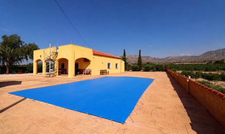 Venta - Finca -
Albatera - Albatera - Country