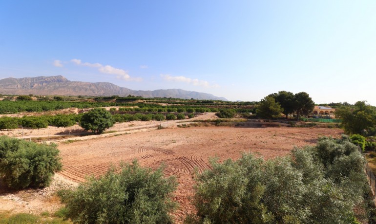 Venta - Finca -
Albatera - Albatera - Country