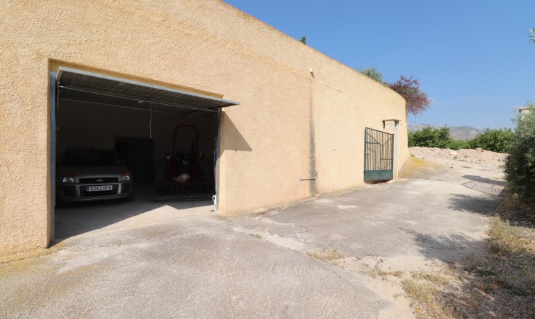 Venta - Finca -
Albatera - Albatera - Country