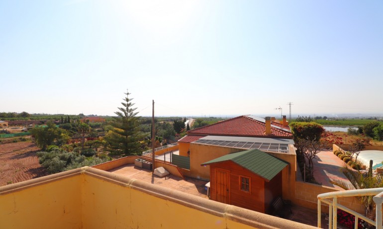 Venta - Finca -
Albatera - Albatera - Country