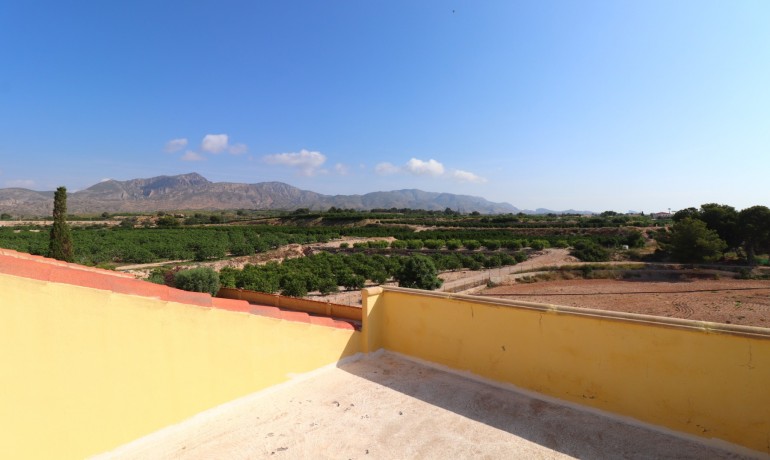 Venta - Finca -
Albatera - Albatera - Country