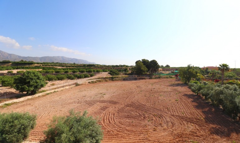 Venta - Finca -
Albatera - Albatera - Country