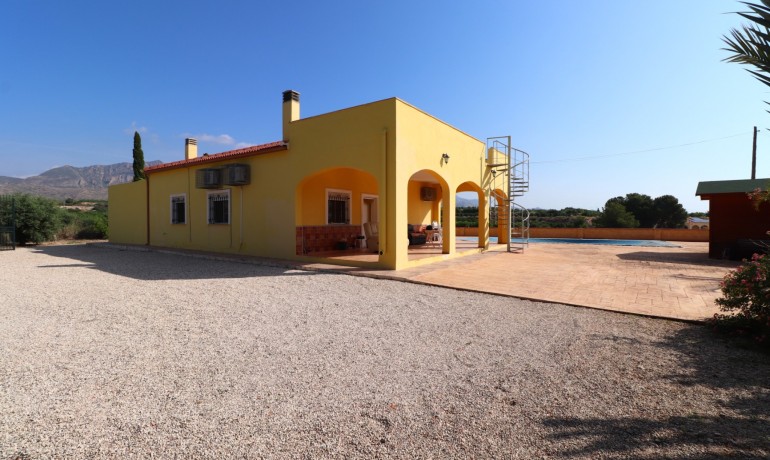 Venta - Finca -
Albatera - Albatera - Country