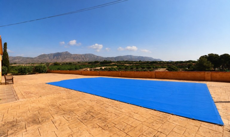 Venta - Finca -
Albatera - Albatera - Country