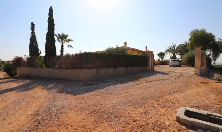 Venta - Finca -
Albatera - Albatera - Country