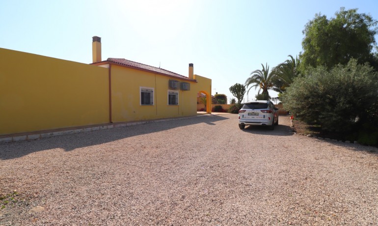 Venta - Finca -
Albatera - Albatera - Country