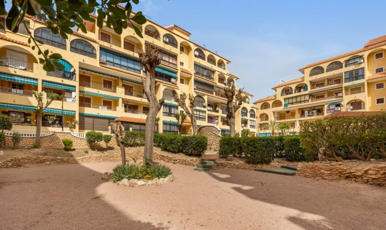 Venta - Apartamento / piso -
Torrevieja - La Mata