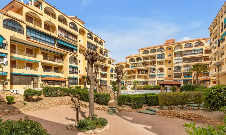 Venta - Apartamento / piso -
Torrevieja - La Mata