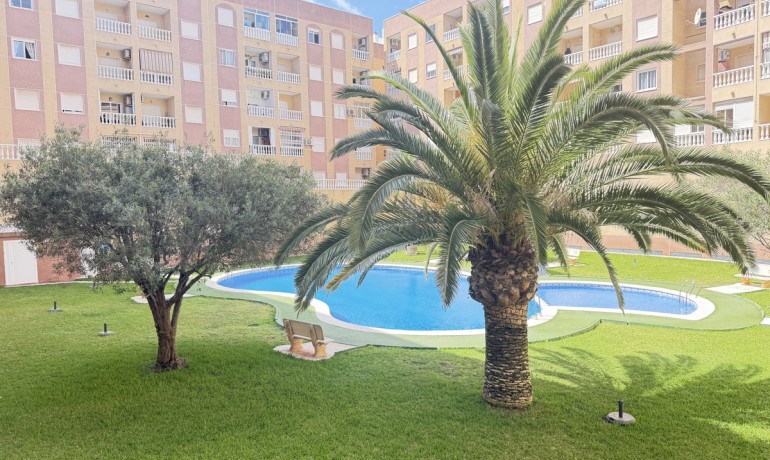 Sale - Apartment / Flat -
Torrevieja* - Torrevieja