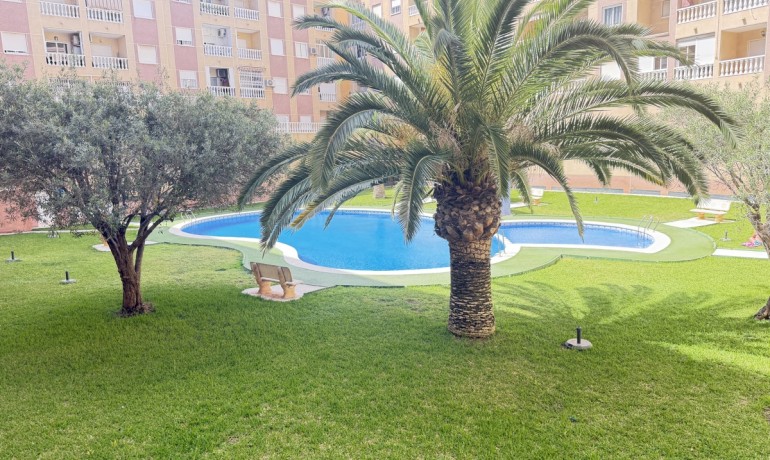 Sale - Apartment / Flat -
Torrevieja* - Torrevieja