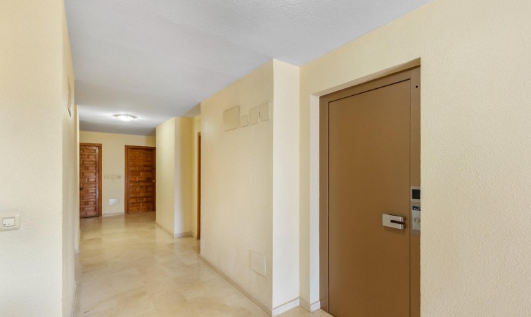 Venta - Apartamento / piso -
Torrevieja - La Mata pueblo