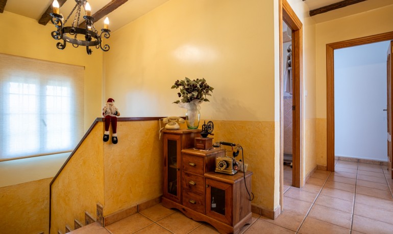 Venta - Villa -
Elche - La Hoya