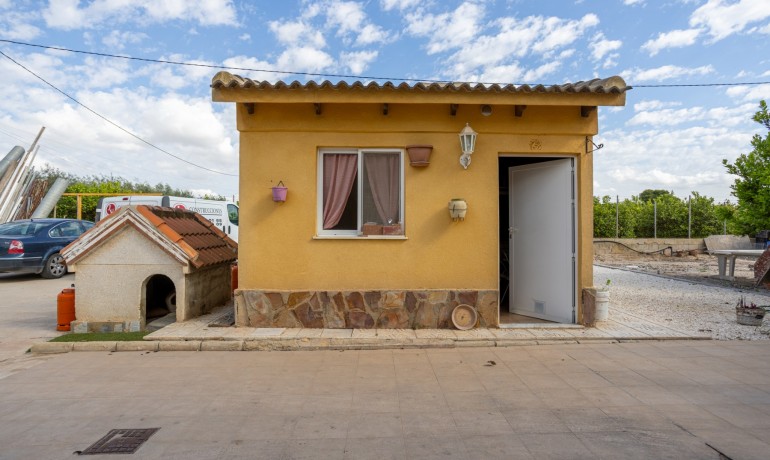Venta - Villa -
Elche - La Hoya
