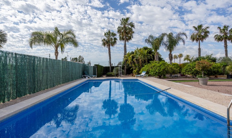 Venta - Villa -
Elche - La Hoya
