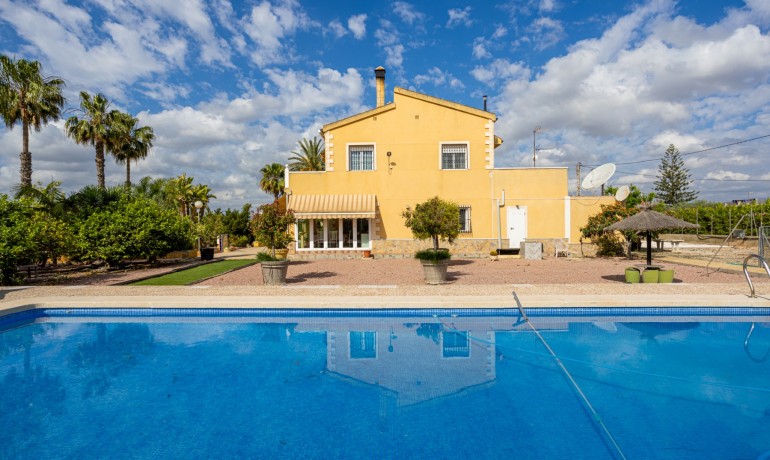 Venta - Villa -
Elche - La Hoya