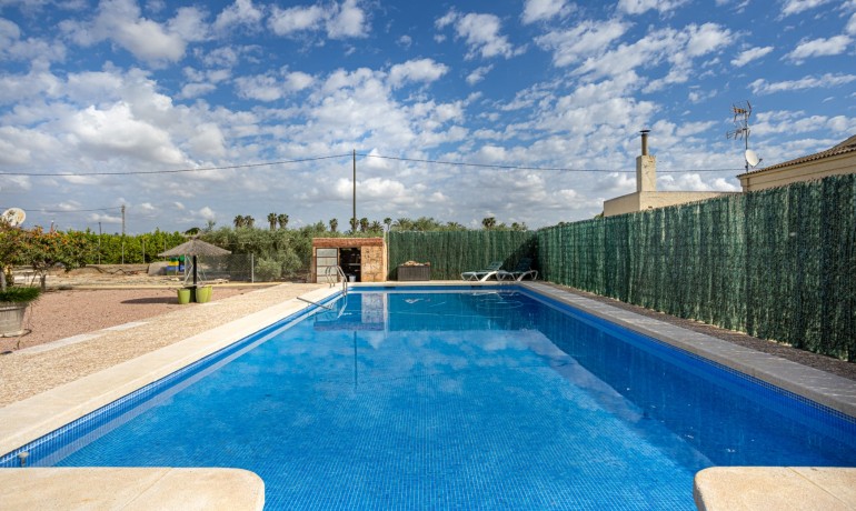 Venta - Villa -
Elche - La Hoya