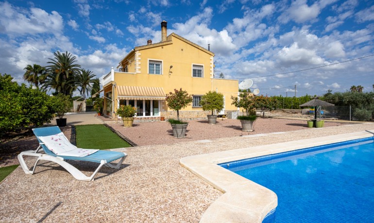Venta - Villa -
Elche - La Hoya