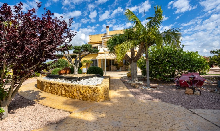 Venta - Villa -
Elche - La Hoya
