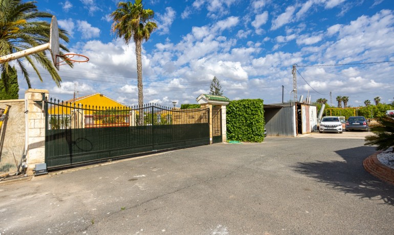 Venta - Villa -
Elche - La Hoya