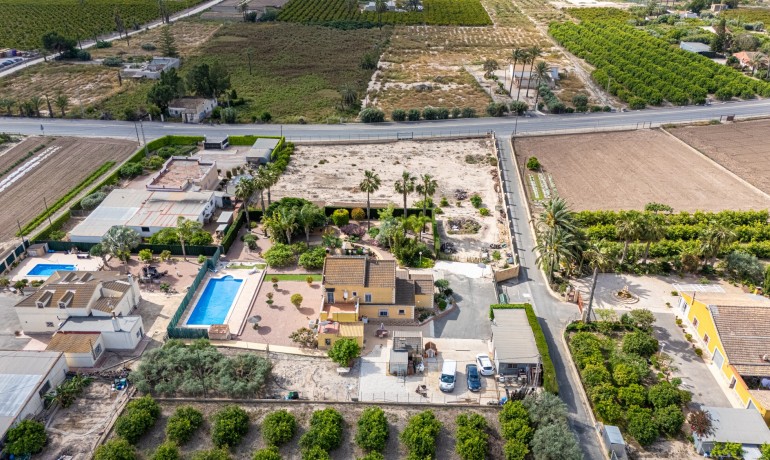 Venta - Villa -
Elche - La Hoya