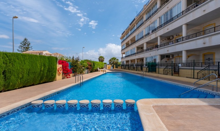 Venta - Apartamento / piso -
Orihuela Costa - La Florida