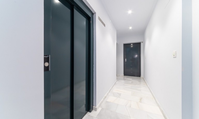 Venta - Apartment - Top Floor -
Benijofar - Benijofar - Village