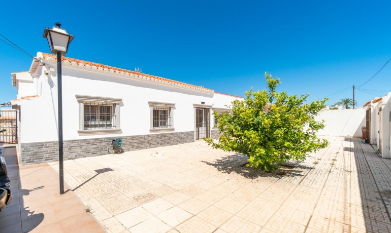 Venta - Villa -
Torrevieja - Torreta florida