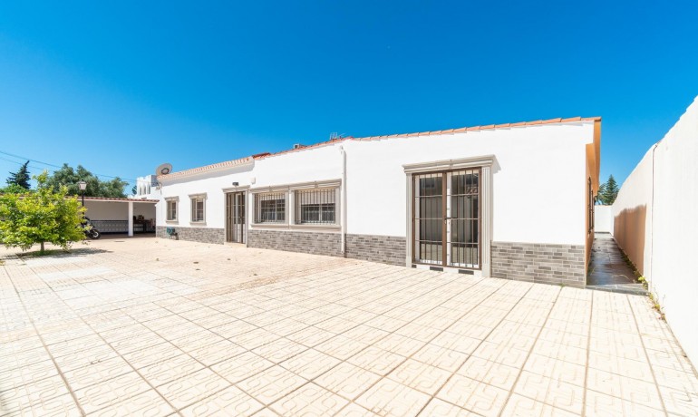 Venta - Villa -
Torrevieja - Torreta florida
