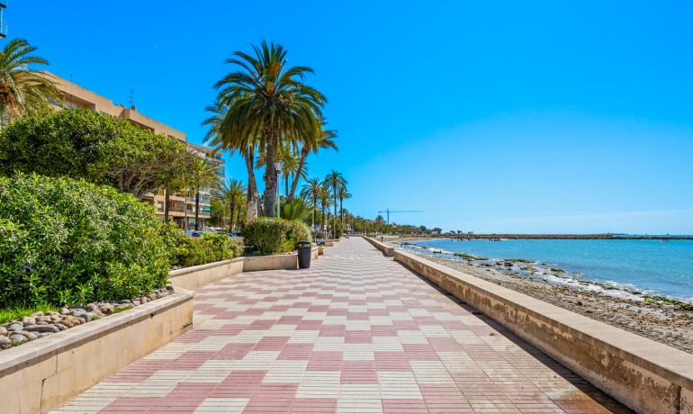 Sale - Apartment / Flat -
Santa Pola