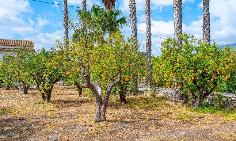 Revente - Finca / Propriété de campagne -
La Nucia* - La Nucia