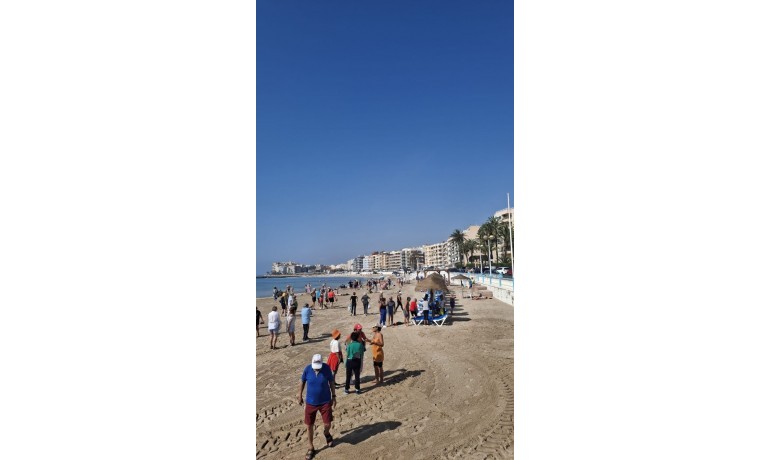 Venta - Apartamento / piso -
Torrevieja - Playa Los Locos