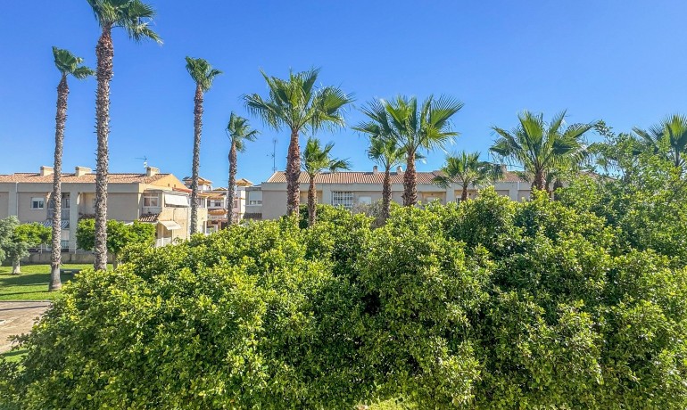 Venta - Apartamento / piso -
Torrevieja - Nueva Torrevieja - Aguas Nuevas