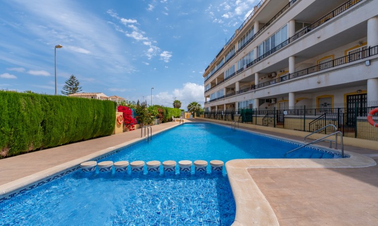 Revente - Appartement / Flat -
Playa Flamenca