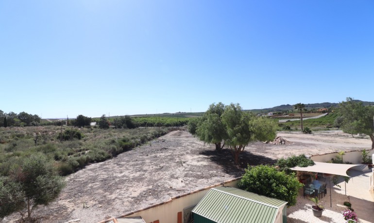Venta - Villa -
San Miguel de Salinas - Lake View Mansions