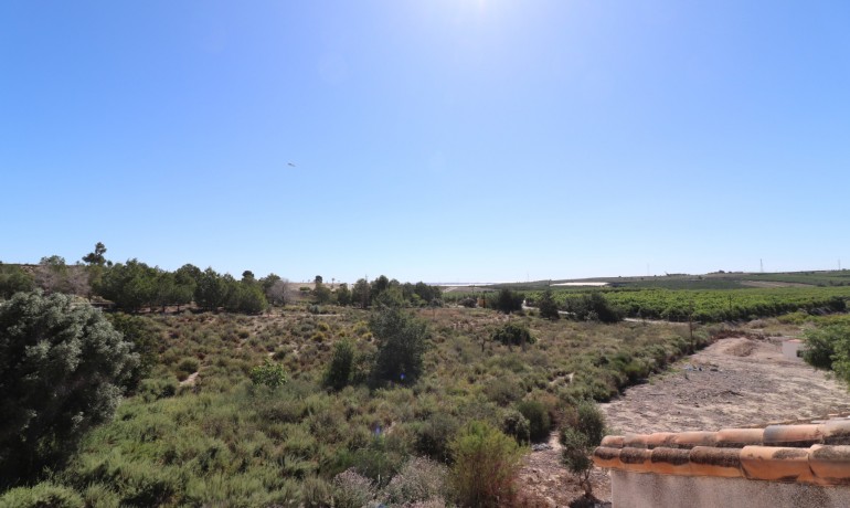 Venta - Villa -
San Miguel de Salinas - Lake View Mansions