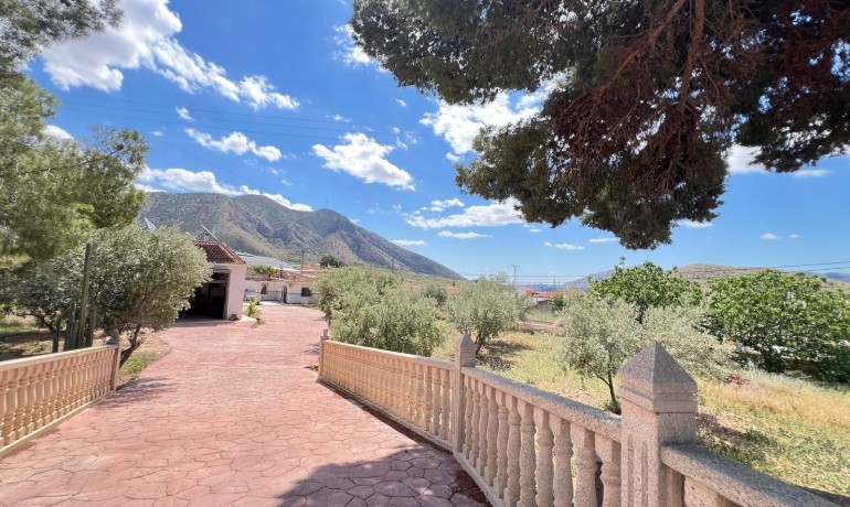 Sale - Finca / Country Property -
Algueña - Alguena