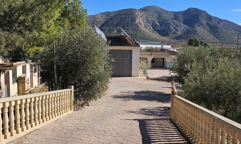 Sale - Finca / Country Property -
Algueña - Alguena