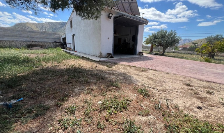 Sale - Finca / Country Property -
Algueña - Alguena
