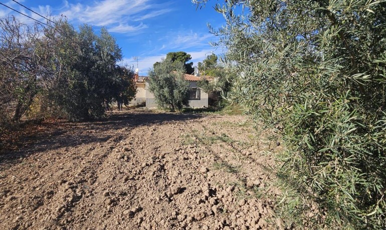 Sale - Finca / Country Property -
Algueña - Alguena