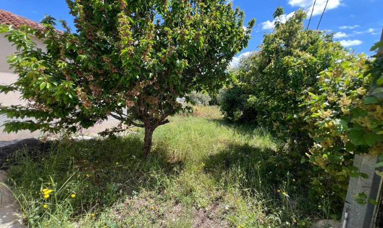 Sale - Finca / Country Property -
Algueña - Alguena