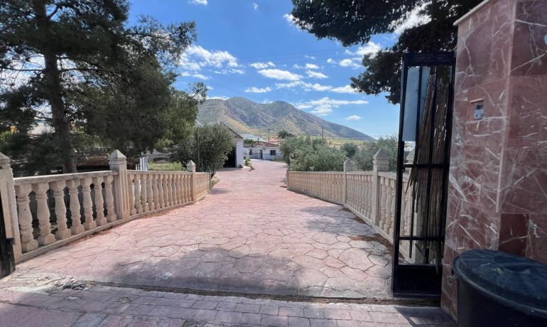 Sale - Finca / Country Property -
Algueña - Alguena