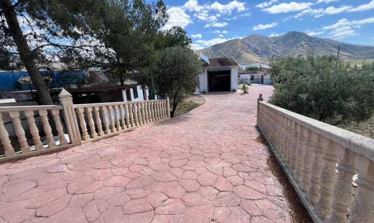 Sale - Finca / Country Property -
Algueña - Alguena