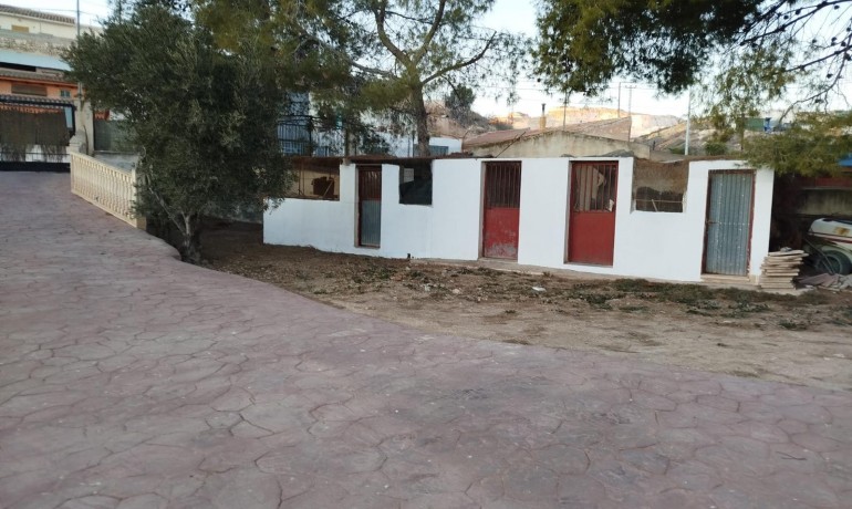 Sale - Finca / Country Property -
Algueña - Alguena