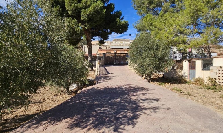 Sale - Finca / Country Property -
Algueña - Alguena