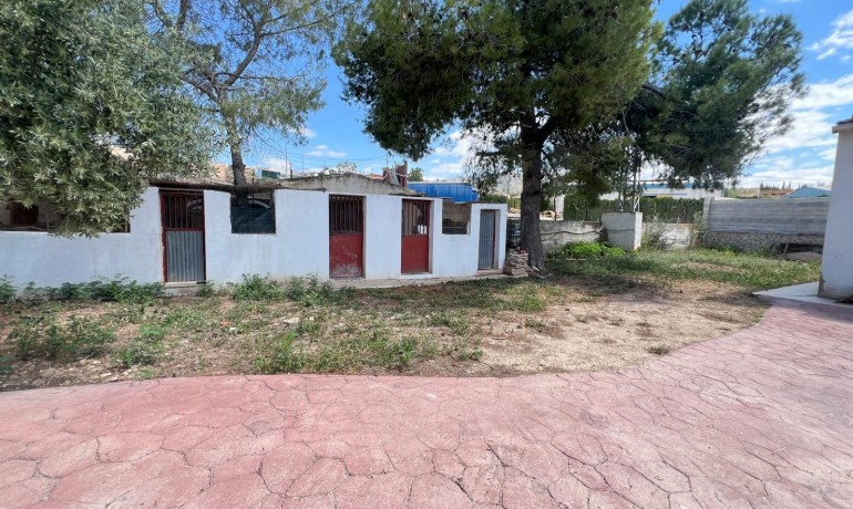 Sale - Finca / Country Property -
Algueña - Alguena