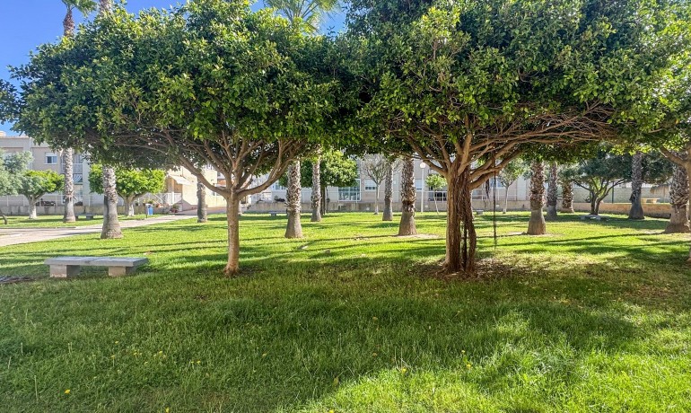 Venta - Apartamento / piso -
Torrevieja - Nueva Torrevieja - Aguas Nuevas