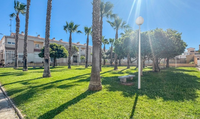 Venta - Apartamento / piso -
Torrevieja - Nueva Torrevieja - Aguas Nuevas